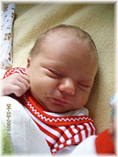 038_2009.jpg - 79494 Bytes