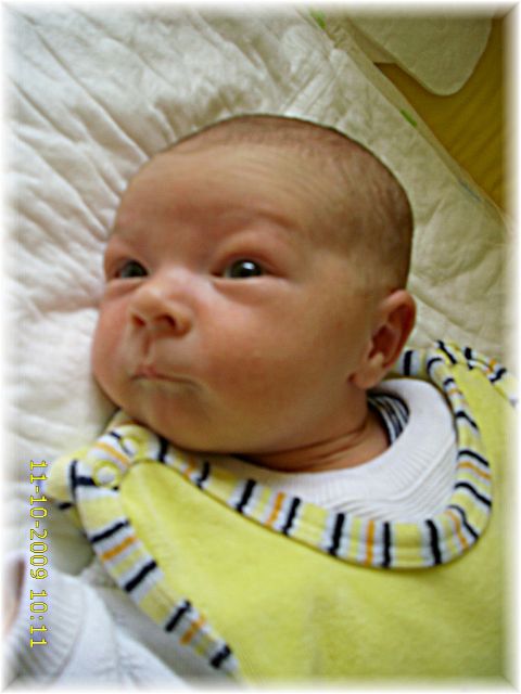 039_2009.jpg - 79494 Bytes