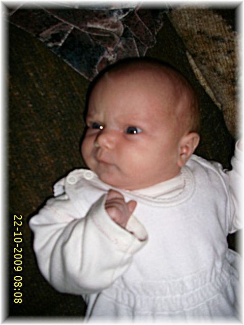 040_2009.jpg - 79494 Bytes