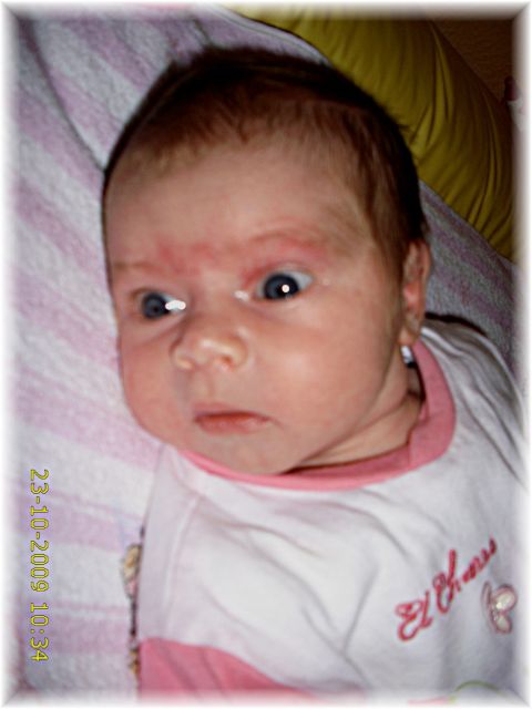 041_2009.jpg - 79494 Bytes