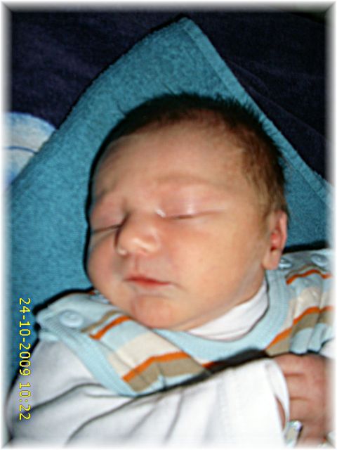 042_2009.jpg - 79494 Bytes