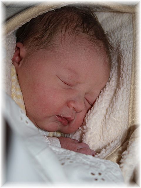 043a_2009.jpg - 79494 Bytes