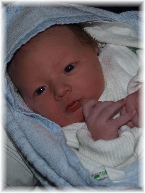 043b_2009.jpg - 79494 Bytes