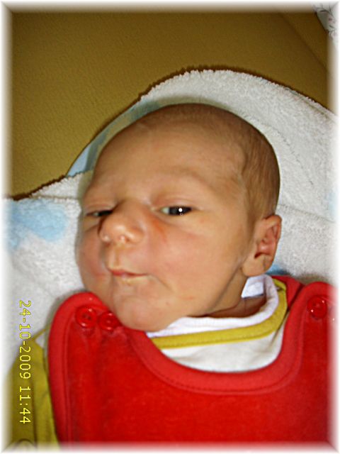 044_2009.jpg - 79494 Bytes