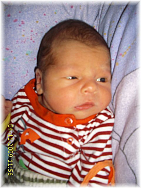 045_2009.jpg - 79494 Bytes