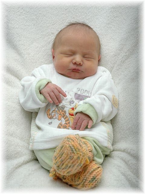 047_2009.jpg - 79494 Bytes