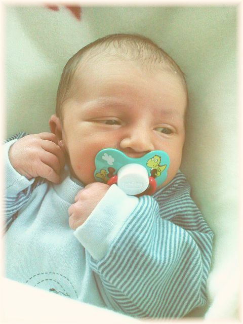 048_2009.jpg - 79494 Bytes