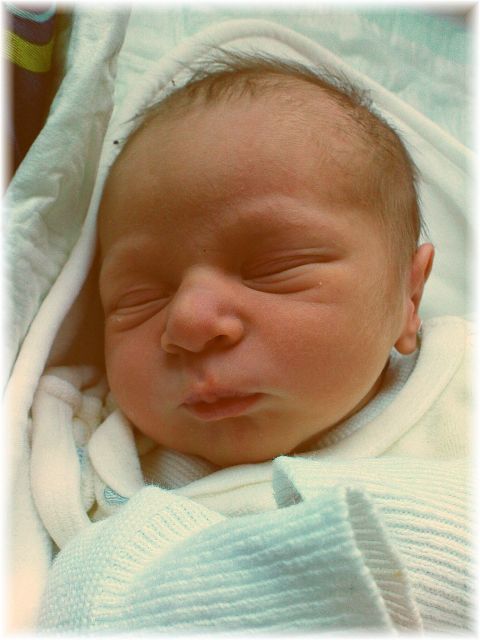 050_2009.jpg - 79494 Bytes