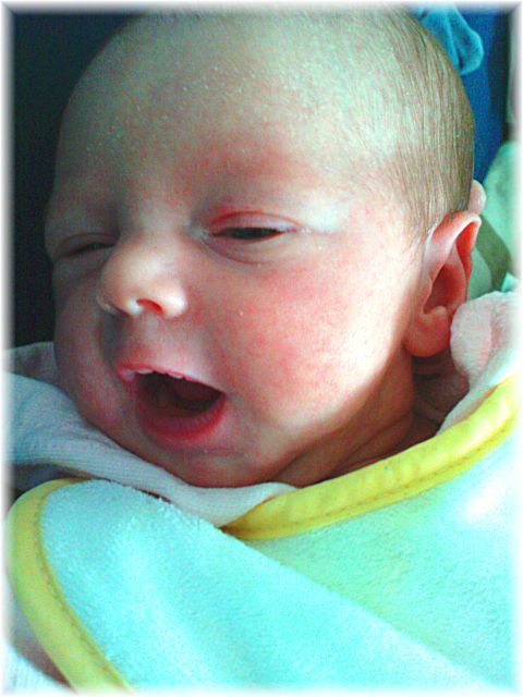 2010_005.JPG - 48240 Bytes