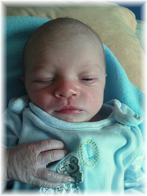 2010_007.JPG - 45476 Bytes