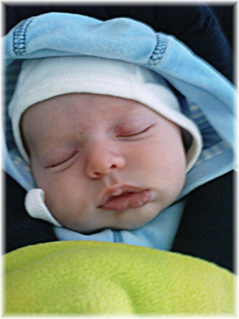 2010_009.JPG - 46449 Bytes