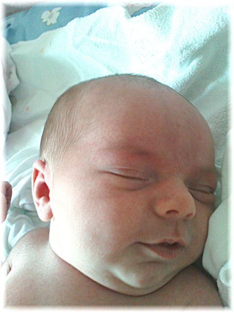 2010_012.JPG - 45476 Bytes