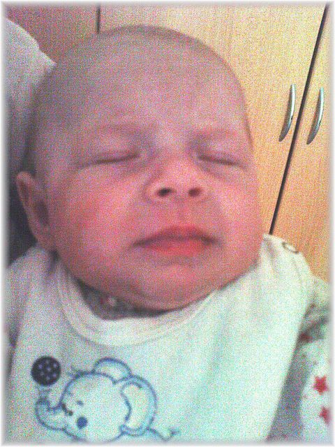 2010_013.JPG - 45476 Bytes