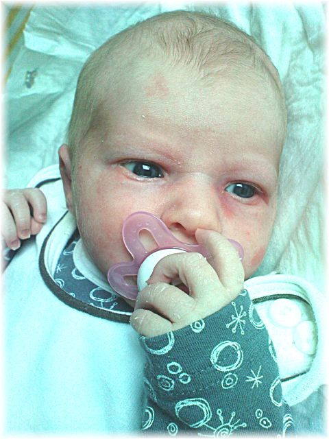 2010_014.JPG - 45476 Bytes