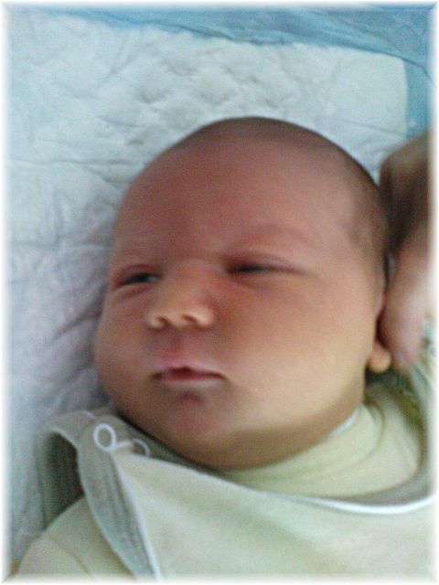 2010_018.JPG - 45476 Bytes