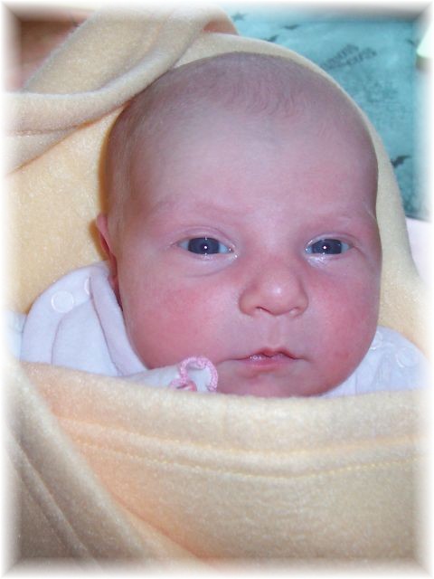 2010_020.JPG - 45476 Bytes