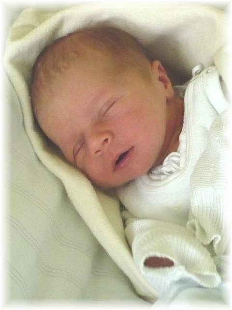 2010_021.JPG - 45476 Bytes