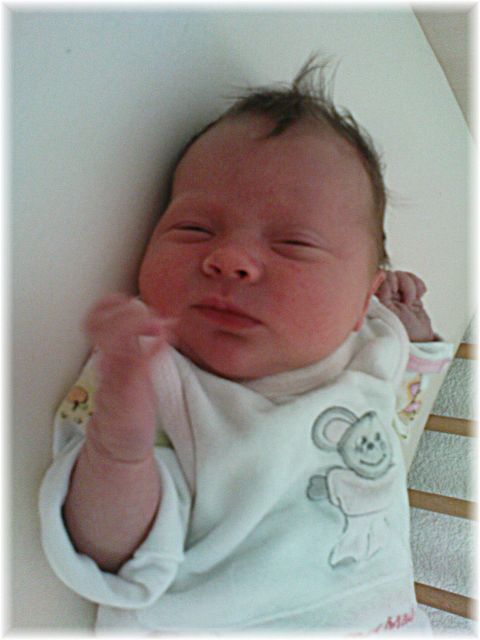 2010_023.JPG - 45476 Bytes