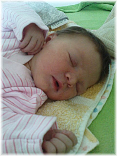 2010_024.JPG - 45476 Bytes