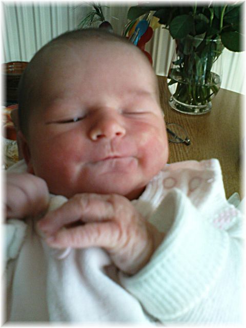 2010_026.JPG - 45476 Bytes