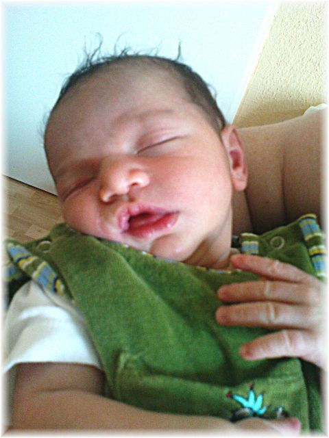 2010_027.JPG - 45476 Bytes