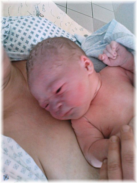 2010_028.JPG - 45476 Bytes