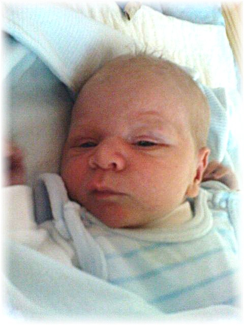 2010_031.JPG - 45476 Bytes