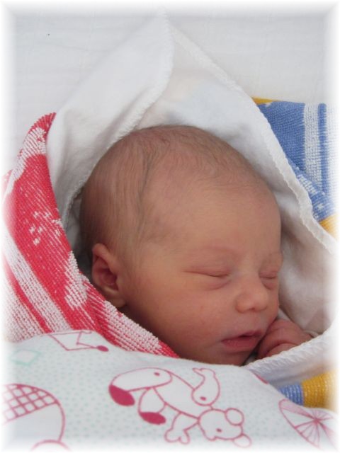 2010_032.JPG - 45476 Bytes