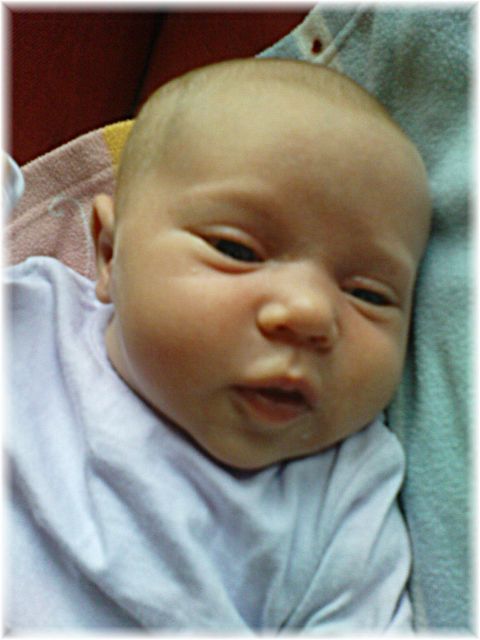 2010_034.JPG - 45476 Bytes