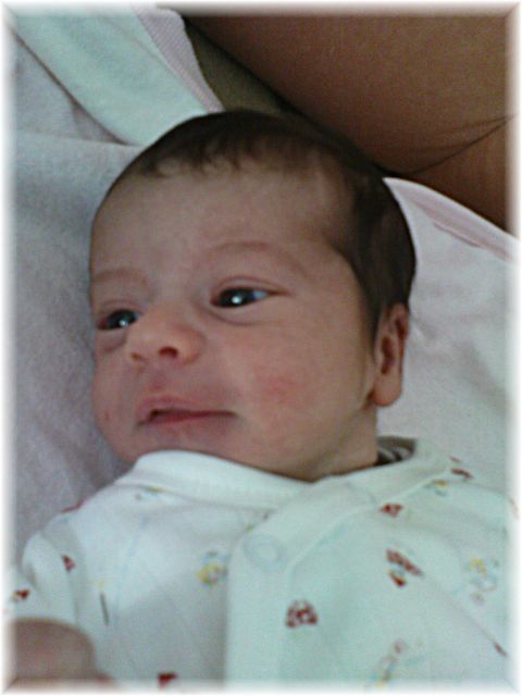 2010_035.JPG - 45476 Bytes