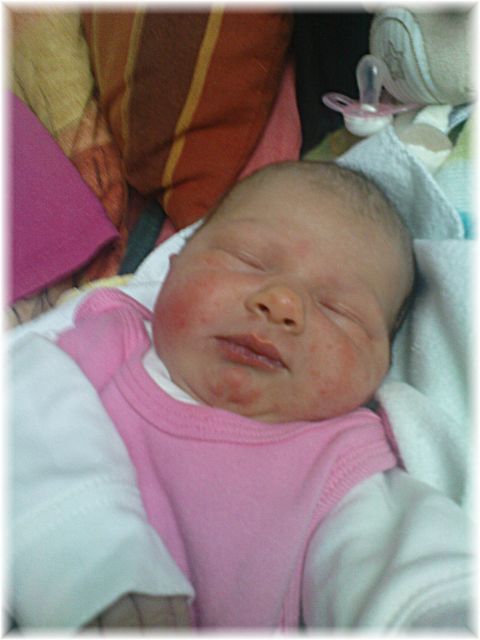 2010_038.JPG - 45476 Bytes