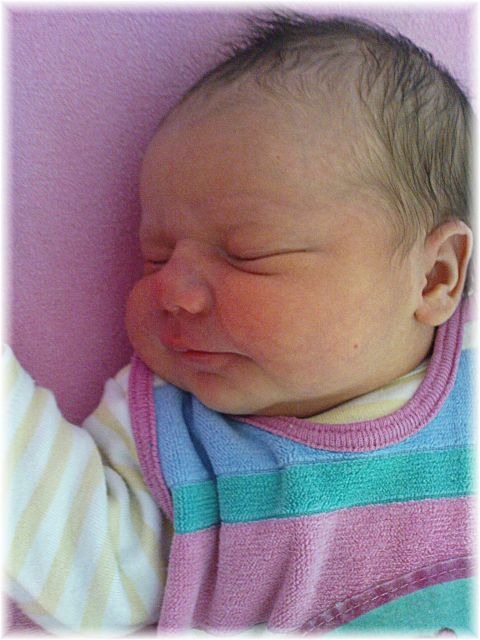 2010_039.JPG - 45476 Bytes