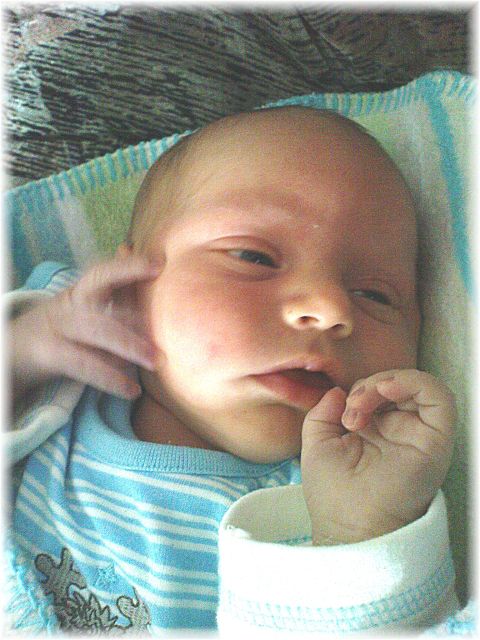 2010_040.JPG - 45476 Bytes