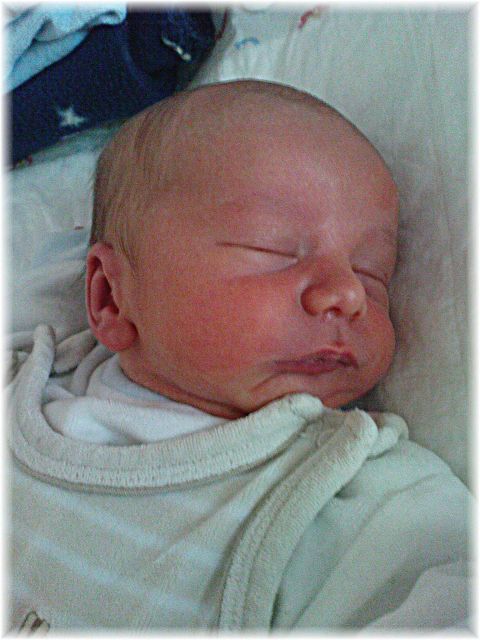 2010_044.JPG - 45476 Bytes