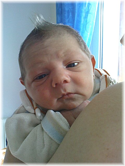 2010_045.JPG - 45476 Bytes