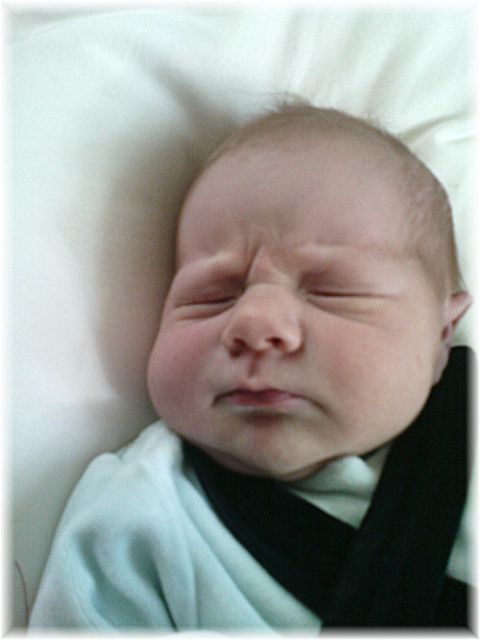 2010_046.JPG - 45476 Bytes