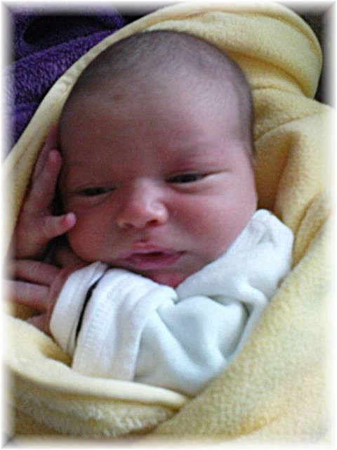 2010_047.JPG - 45476 Bytes