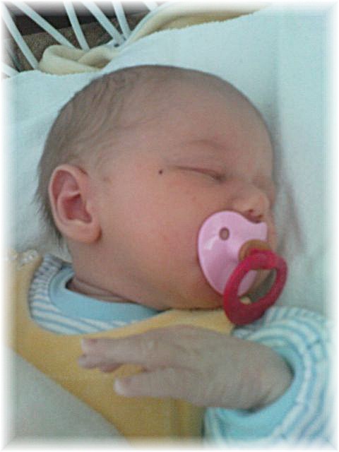 2010_049.JPG - 45476 Bytes