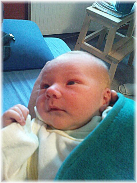 2010_051.JPG - 45476 Bytes