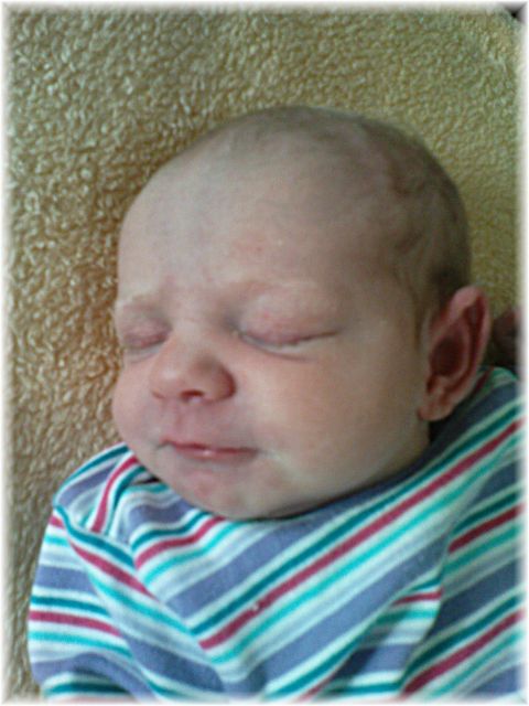 2011_001.jpg - 264621 Bytes