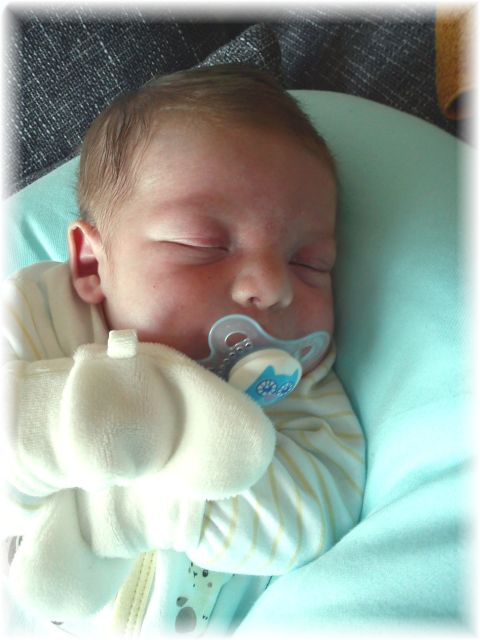 2011_006.jpg - 264621 Bytes