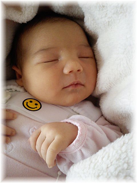 2011_007.jpg - 264621 Bytes