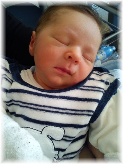 2011_009.jpg - 264621 Bytes