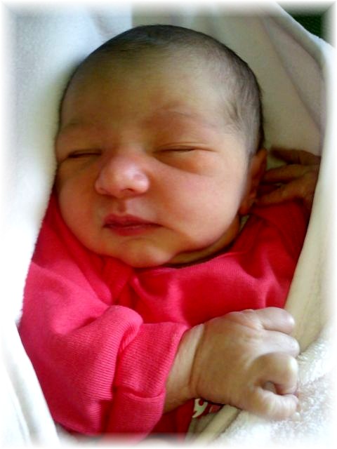 2011_010.jpg - 264621 Bytes