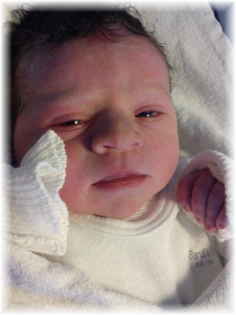 2011_012.jpg - 264621 Bytes