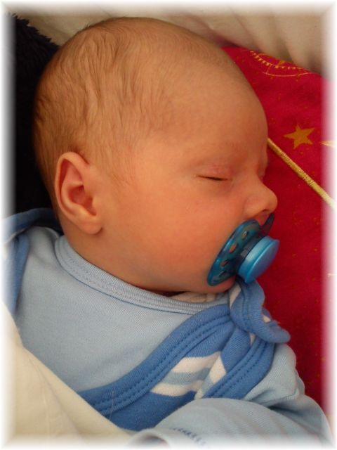 2011_015.jpg - 264621 Bytes