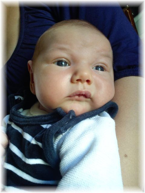 2011_018.jpg - 264621 Bytes