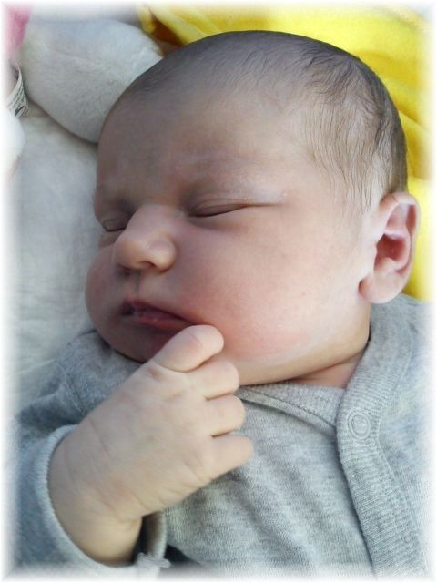 2011_019.jpg - 264621 Bytes