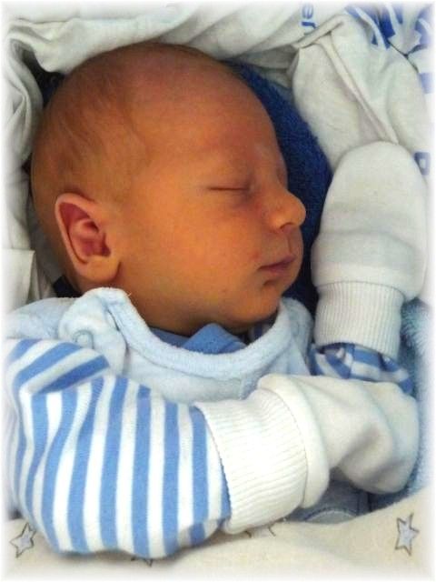 2011_021.jpg - 264621 Bytes