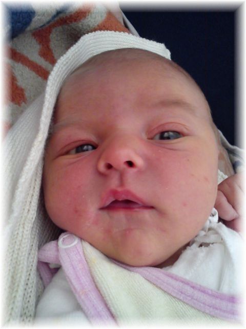 2011_022.jpg - 264621 Bytes